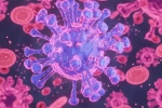 HMPV Virus case in Bengaluru, HMPV Virus case health, first hmpv virus case detected in india s bengaluru, Karnataka