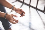 Doshi Shah USA Customs Duty Evasion, Doshi Shah USA convicted, indian man gets 30 month jail in us for customs duty evasion, Diamond