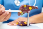 Liver Health symptoms, Liver Health updates, factors that worsens your liver health, Cancer