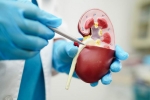 Creatinine Levels new tips, Creatinine Levels breaking, tips to lower your creatinine levels, Fibre