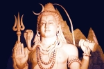 Mahashivaratri 2025 specials, Mahashivaratri 2025 rashi, mahashivaratri 2025 rashi wise predictions, Ghee