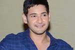 Mahesh Babu latest, Mahesh Babu news, mahesh babu s next updates, Bharat anu nenu