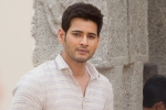 Bharat ane Nenu, Kiara Advani, mahesh s new year gift for his fans, Spyder