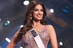 Harnaaz Sandhu updates, Harnaaz Sandhu news, harnaaz sandhu brings miss universe home after 21 years, Andrea