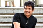 Nagarjuna, Nagarjuna upcoming projects, nagarjuna s 100th film will be a multi starrer, Nagarjuna 100th film