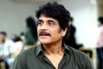 Nagarjuna latest updates, Nagarjuna periodic drama, nagarjuna in a periodic drama, God father