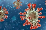 China Covid Row review, China Covid Row updates, new china coronavirus variant traced in india, Omicron