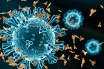 XEC Covid Variant, XEC Covid Variant breaking updates, new xec covid variant detected in 27 countries, Omicron