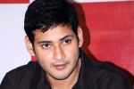 Mahesh Babu news, Mahesh Babu new movie, no clarity on mahesh s next title, Sambha
