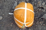 Heroin, Pakistani Drone breaking  news, pakistani drone was seized in amristar for smuggling 5 5kg heroin, Bsf