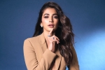 Pooja Hegde Telugu, Pooja Hegde Hindi, pooja hegde lines up bollywood films, Kartik aaryan