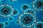 R.1 Coronavirus updates, R.1 Coronavirus dangerous, r 1 variant of coronavirus traced in 35 countries, Coronavirus usa