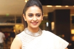 Rakul Preet Singh news, Rakul Preet Singh news, rakul preet s multi starrer, Spyder