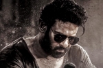 Salaar 2 latest breaking, Prabhas, new update from salaar 2, Shruti haasan