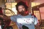 Shah Rukh Khan new film, Shah Rukh Khan breaking, shah rukh khan to play a don in king, Srk