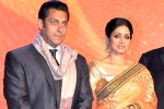 Salman Khan updates, Sridevi latest updates, sridevi to work with salman khan, English vinglish