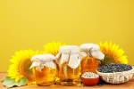 Sunflower Oil benefits, Sunflower Oil doctors, long term effects of consuming sunflower oil on heart health, Toxic