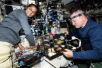 Sunita Williams news, Sunita Williams breaking updates, sunita williams response on being stuck in space, Us presidential elections