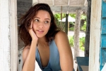 Triptii Dimri latest breaking, Triptii Dimri latest breaking, triptii dimri is eager to sign hollywood films, Comedy