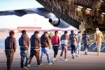USA Illegal Immigrants updates, USA Illegal Immigrants by Donald Trump, usa arrests over 500 illegal immigrants, Criminals