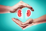 World Kidney Day 2025 food, World Kidney Day 2025 to be taken, world kidney day 2025 theme and health tips, Tobacco