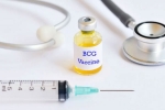 TB, covid-19, bcg vaccination a possible game changer us scientists, Bcg vaccine