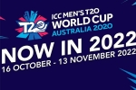 T20 World Cup 2022 breaking news, T20 World Cup 2022 breaking news, icc announces the schedule for t20 world cup 2022, Adelaide